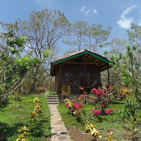 Finca Montana Sagrada Mérida Δωμάτιο φωτογραφία