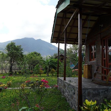 Finca Montana Sagrada Mérida Δωμάτιο φωτογραφία