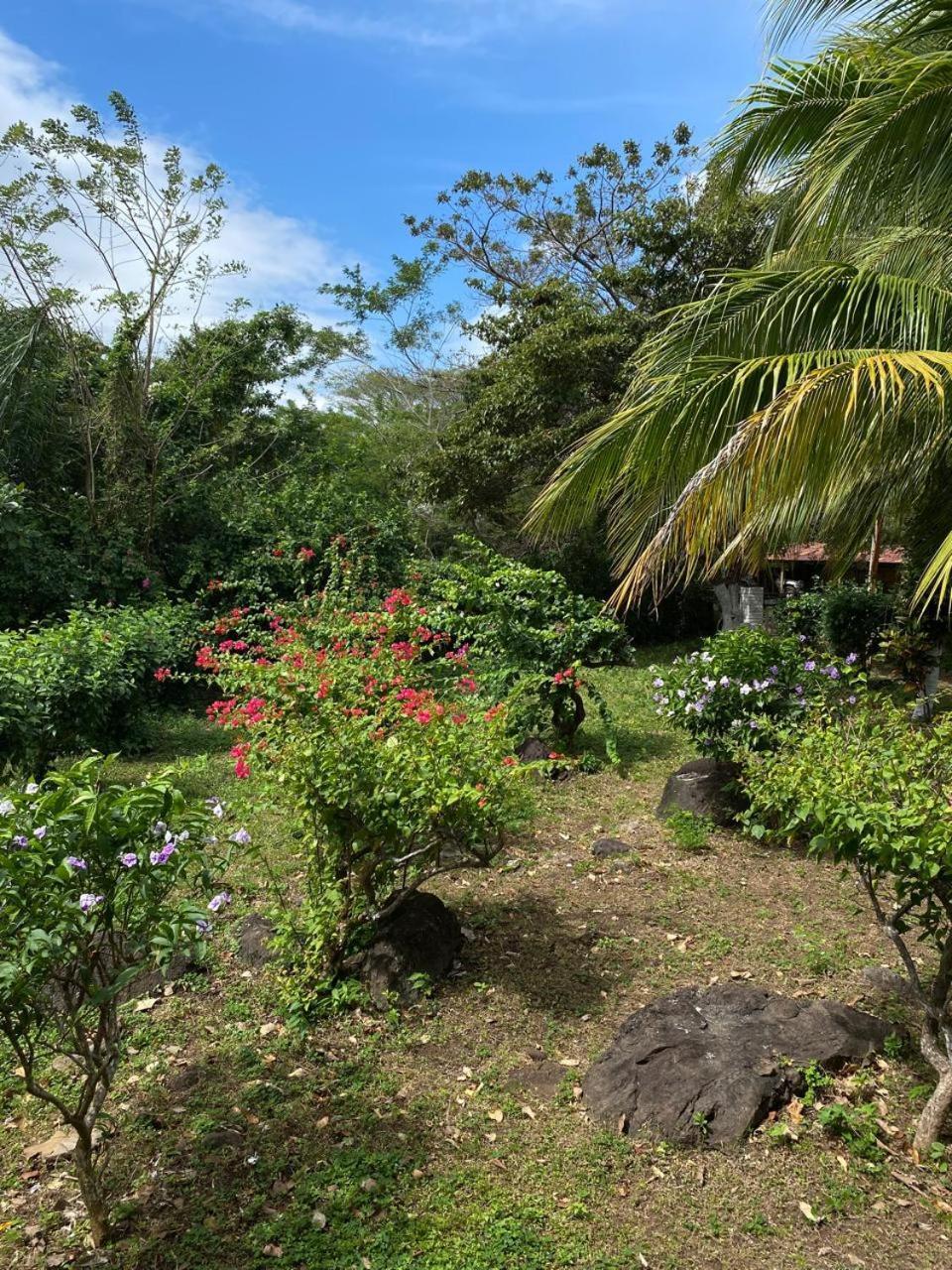 Finca Montana Sagrada Mérida Εξωτερικό φωτογραφία