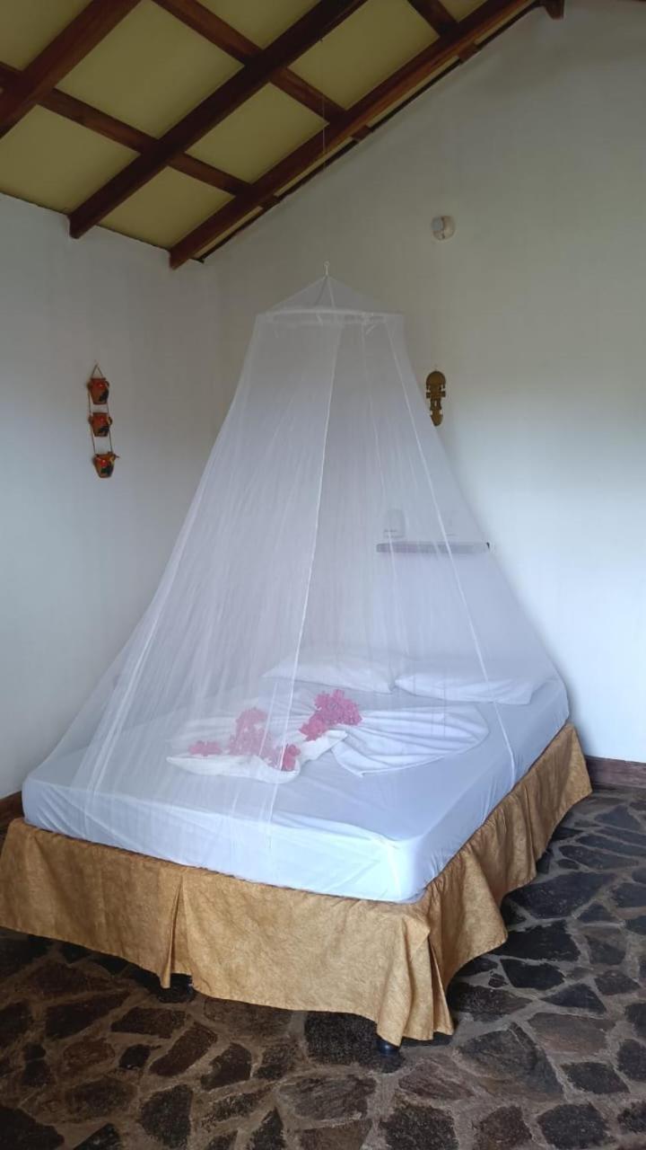 Finca Montana Sagrada Mérida Εξωτερικό φωτογραφία