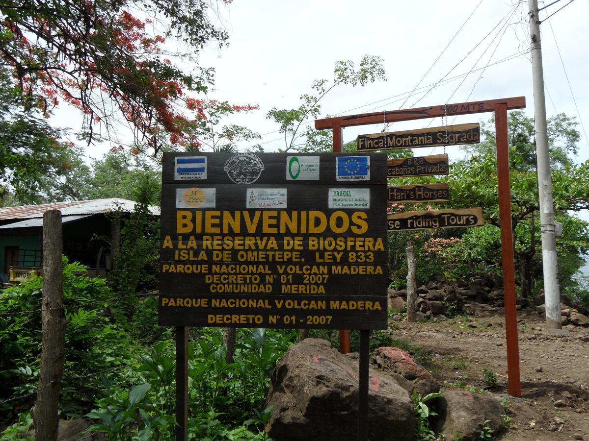 Finca Montana Sagrada Mérida Εξωτερικό φωτογραφία