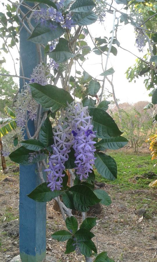 Finca Montana Sagrada Mérida Εξωτερικό φωτογραφία