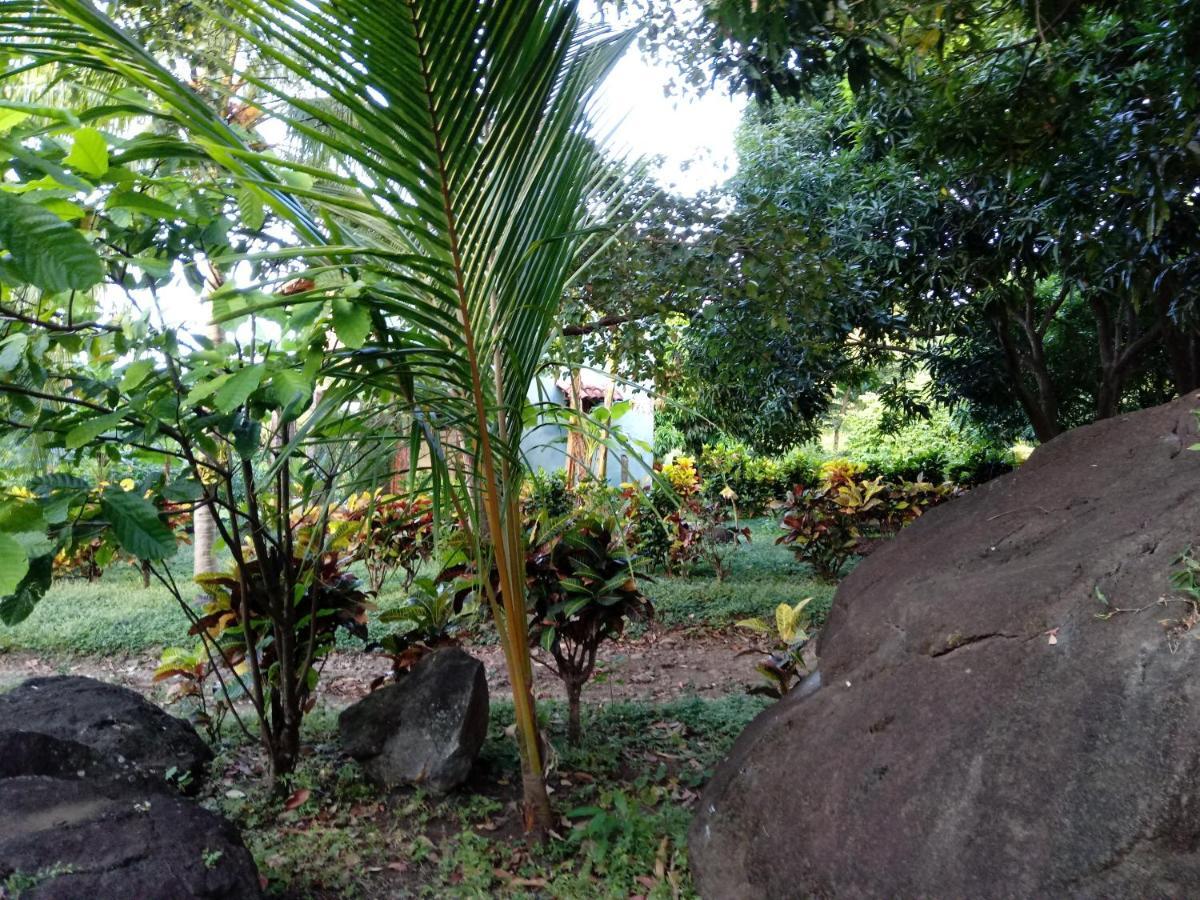 Finca Montana Sagrada Mérida Εξωτερικό φωτογραφία